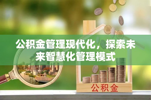 克东公积金管理现代化，探索未来智慧化管理模式