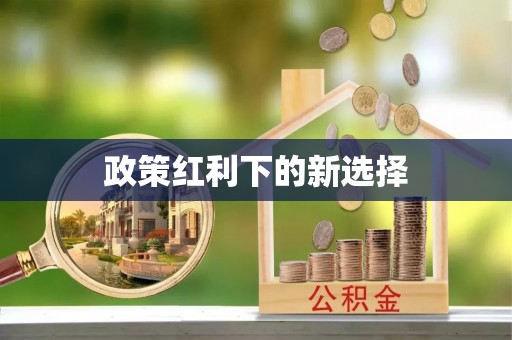 克东政策红利下的新选择