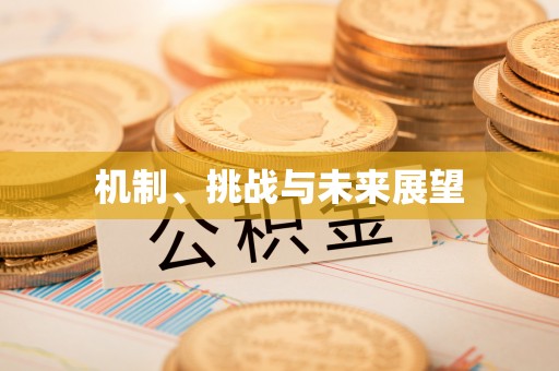 克东机制、挑战与未来展望